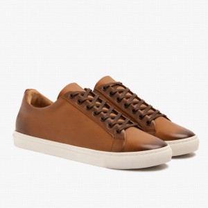 Sneakers Basse Thursday Boots Premier Donna Toffee | RPB718BA