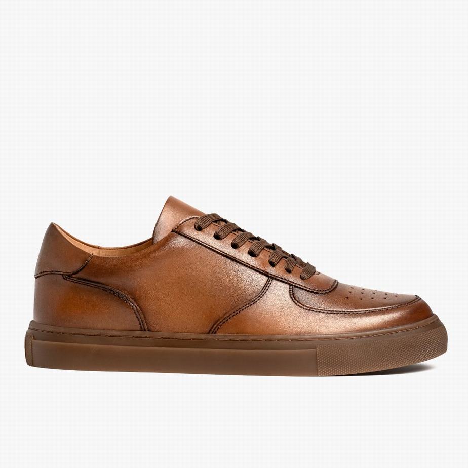 Sneakers Basse Thursday Boots Court Uomo Toffee | BXM8015CN