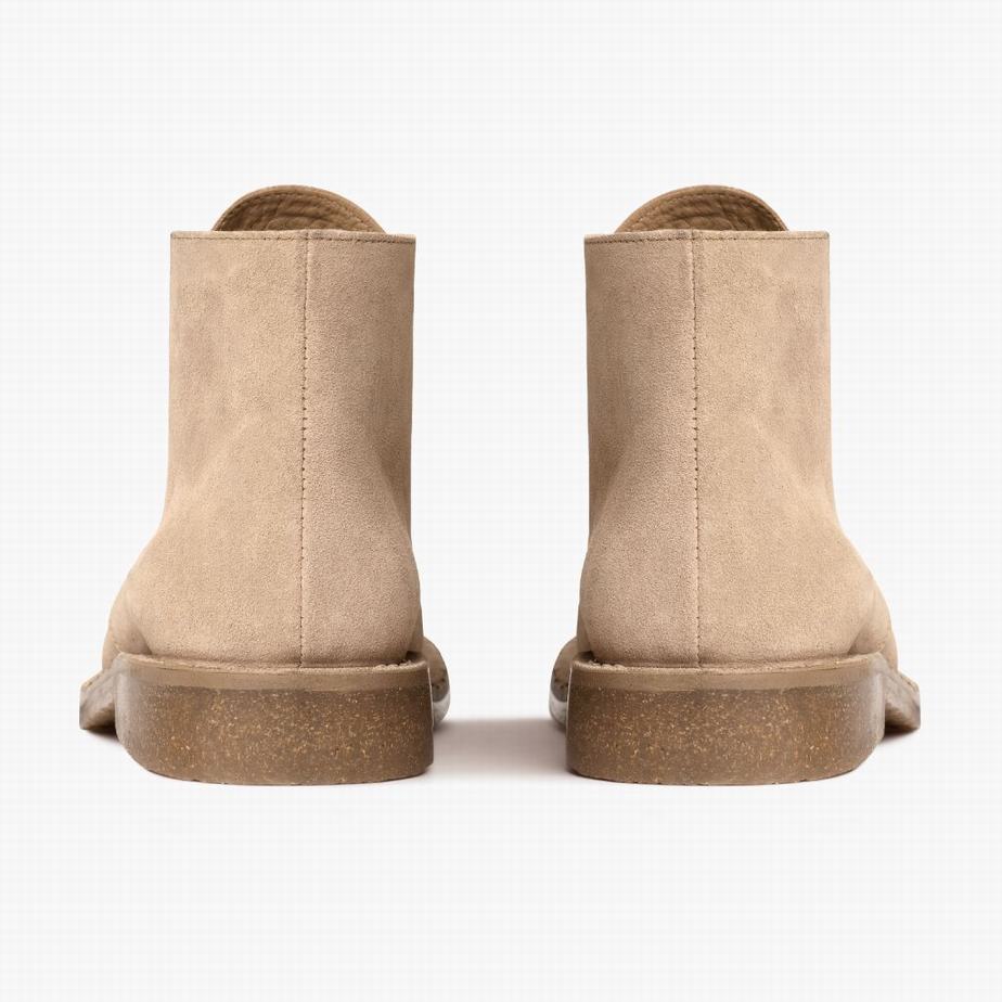 Stivali Chukka Thursday Boots Scout Uomo Dune | IZO7352RJ