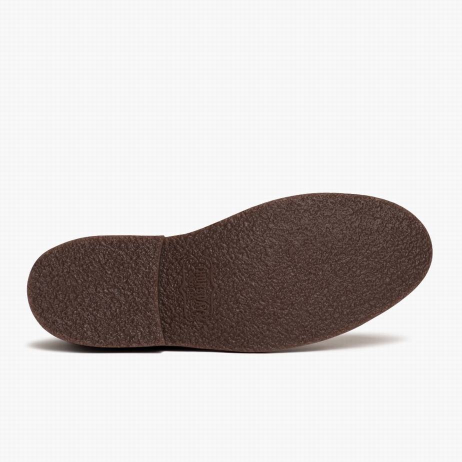 Stivali Stringati Thursday Boots Scout Uomo Marroni Scuro | UTZ6136YK