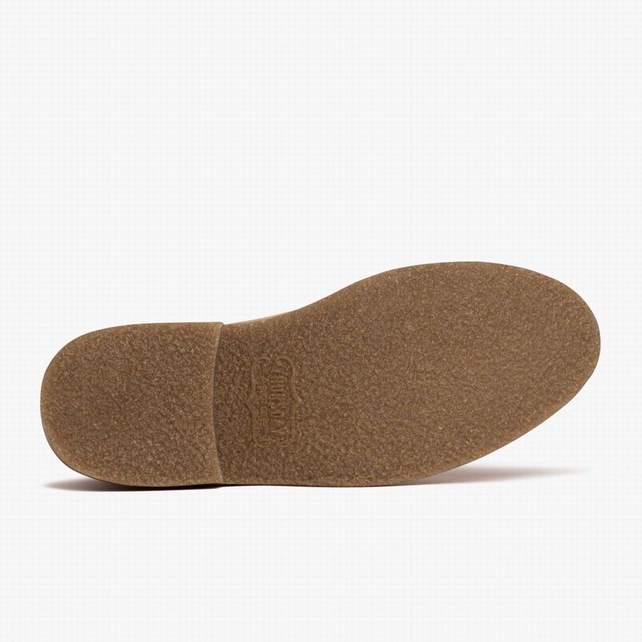 Stivali Stringati Thursday Boots Scout Uomo Dune | CGS1048EK