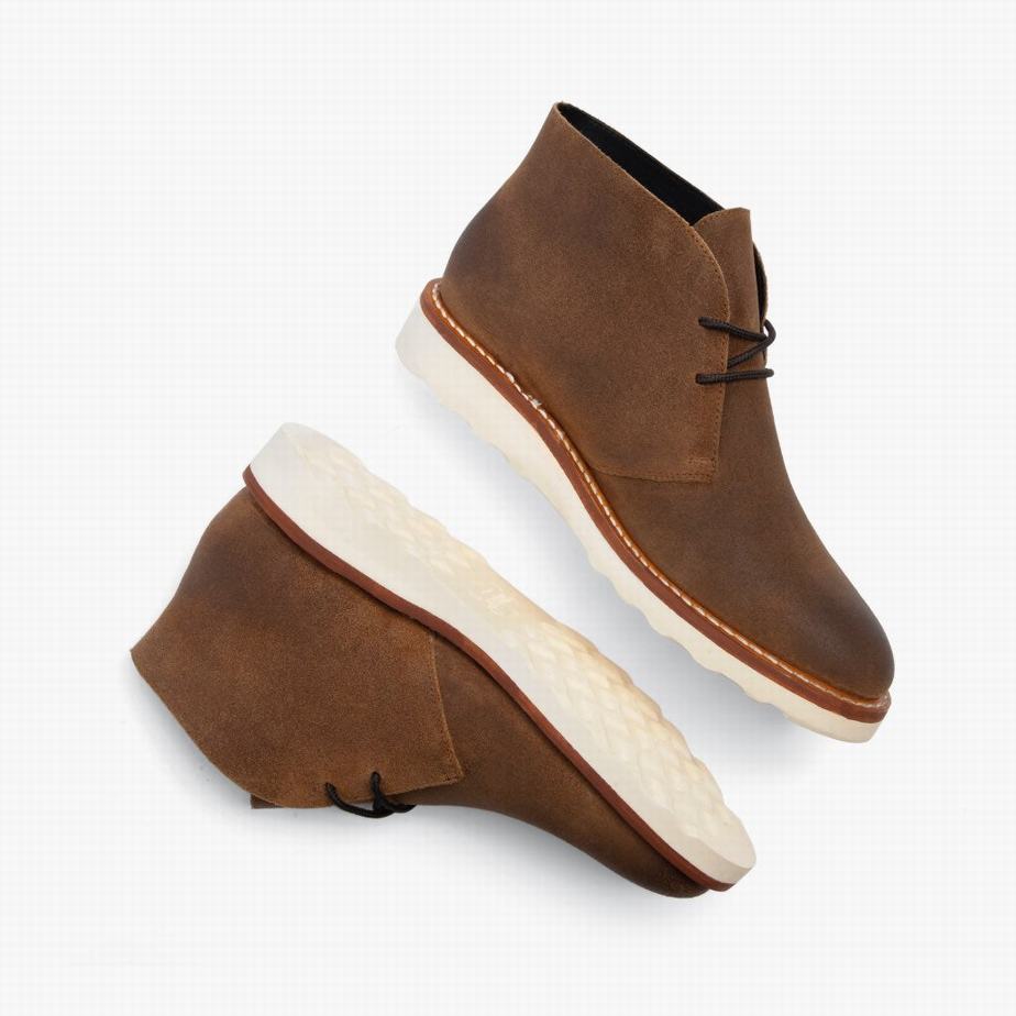 Stivali Stringati Thursday Boots Scout Uomo Safari | IAN985PL